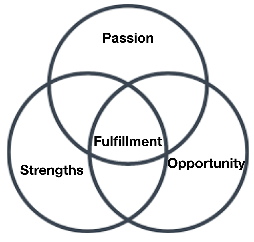 Overlap between Opportunity, Strengths, Passion